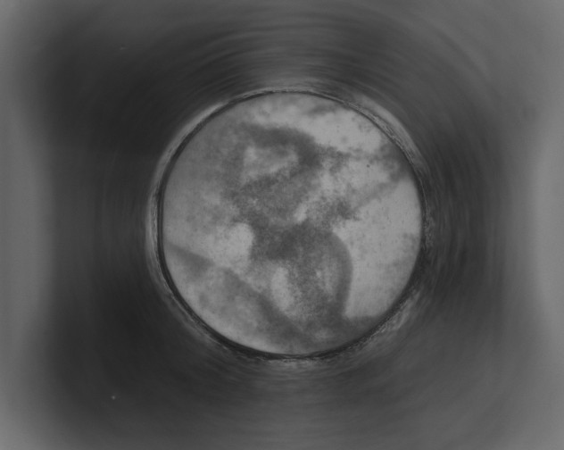 X0000100470804200807111040