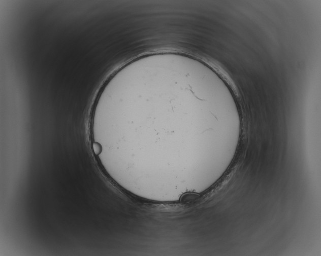 X0000100470805200807111040