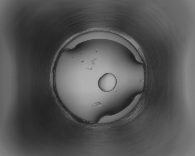 X0000100470807200807111040