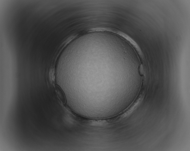 X0000100470809200807111040