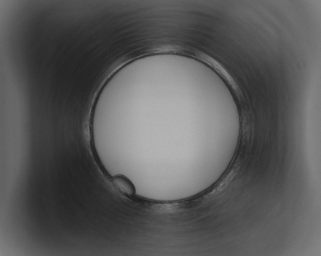 X0000100470810200807111040