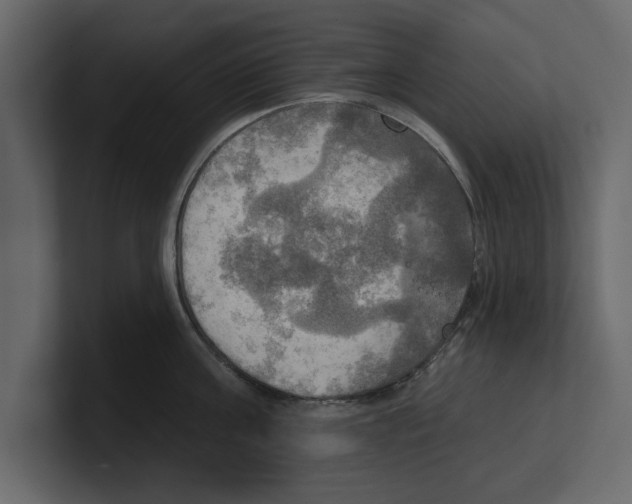 X0000100470811200807111040