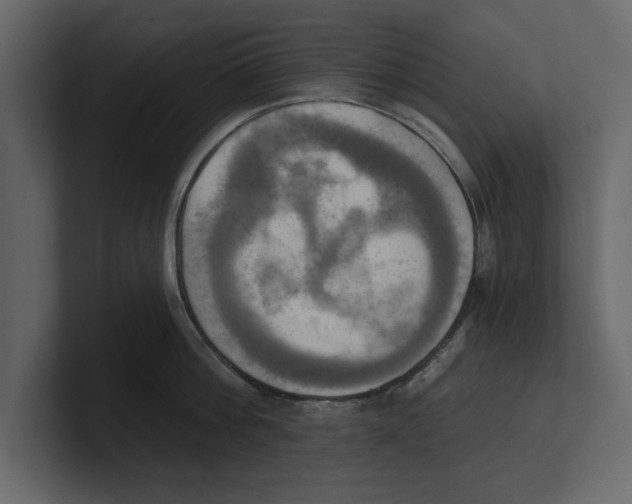 X0000100470812200807111040