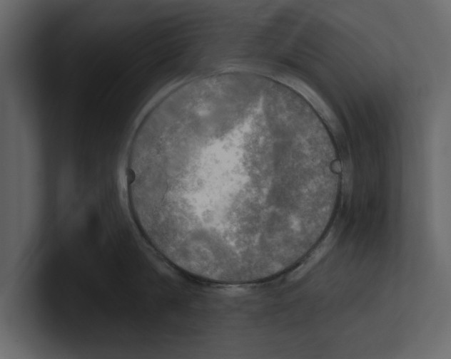 X0000100470814200807111040