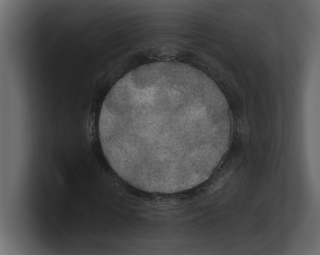 X0000100470818200807111039