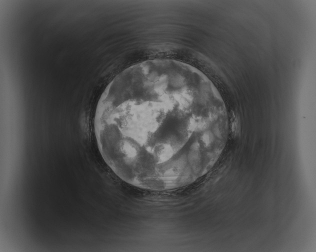 X0000100470819200807111039