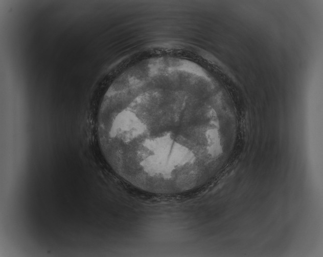 X0000100470822200807111039