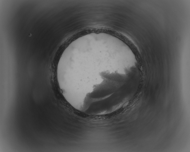 X0000100470823200807111039