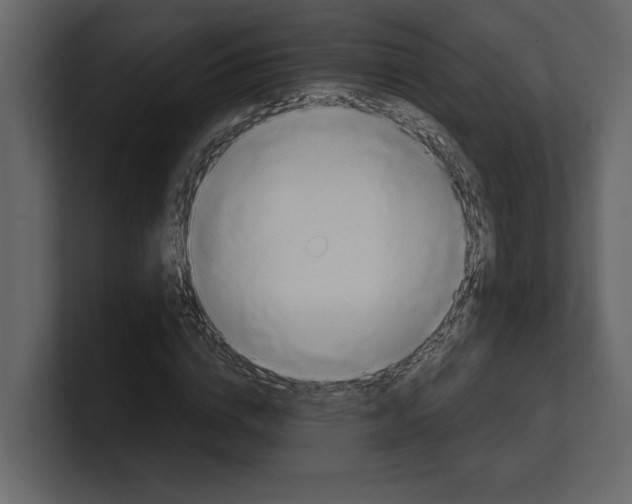 X0000100470824200807111039