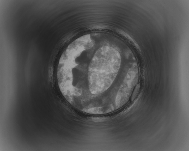 X0000100470825200807111039