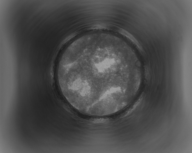 X0000100470826200807111039