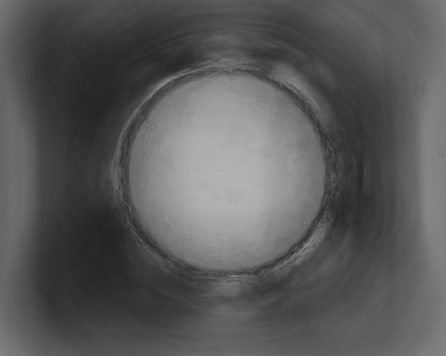 X0000100470828200807111039