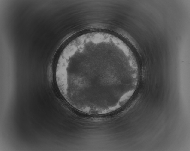 X0000100470829200807111039