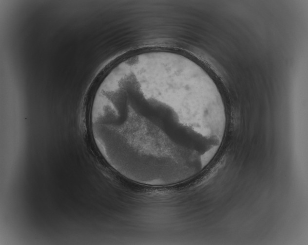 X0000100470830200807111039