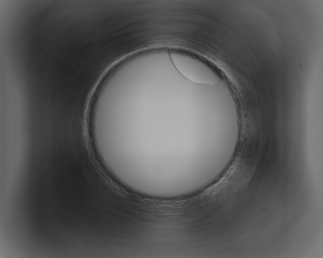 X0000100470832200807111039