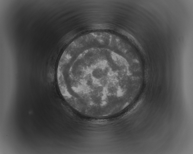 X0000100470833200807111039