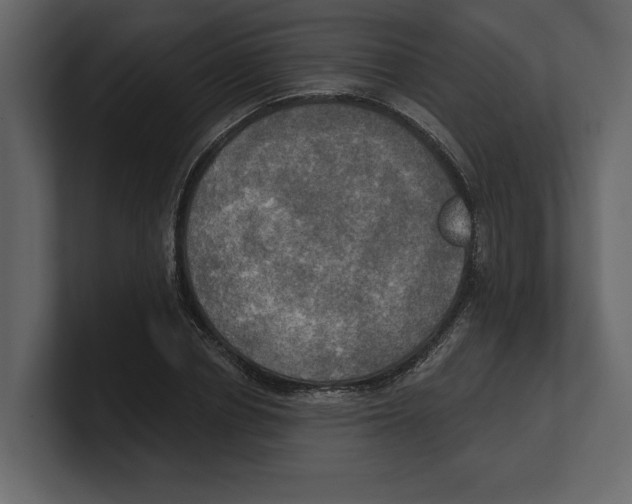 X0000100470834200807111039