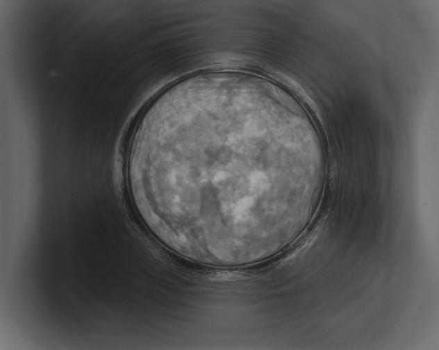 X0000100470835200807111039