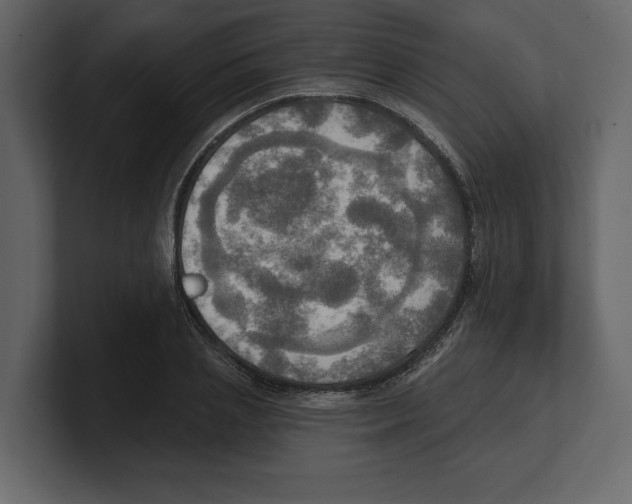 X0000100470837200807111039