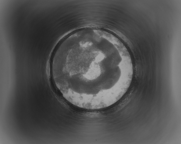 X0000100470838200807111039