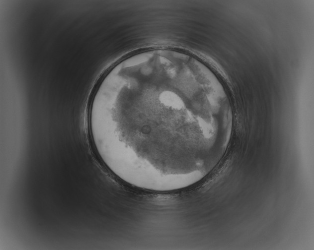 X0000100470839200807111039