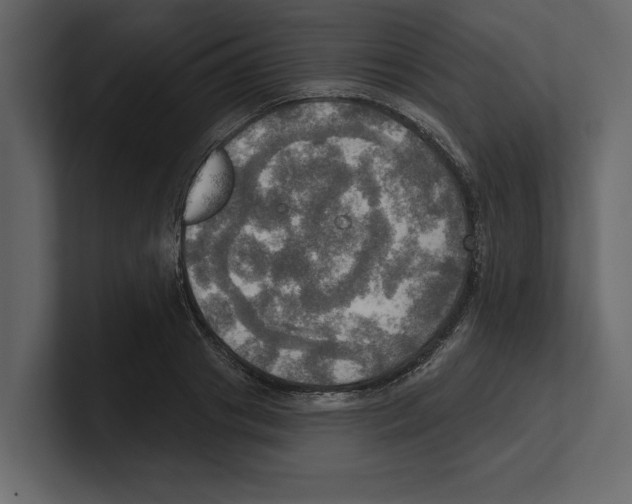 X0000100470841200807111039