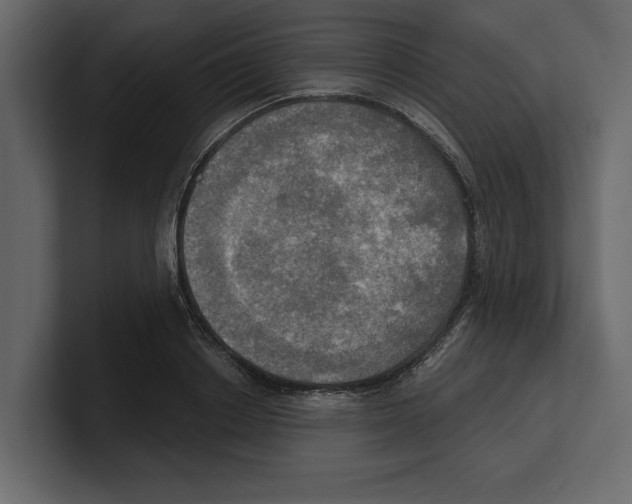 X0000100470842200807111039