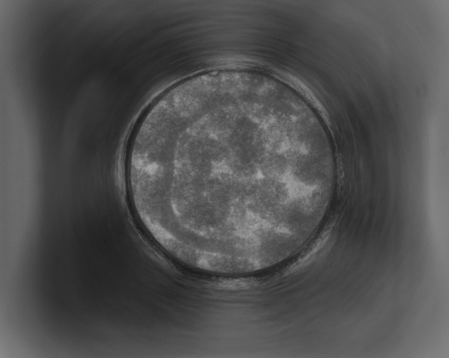 X0000100470843200807111039