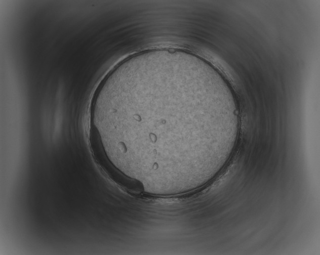 X0000100470844200807111039