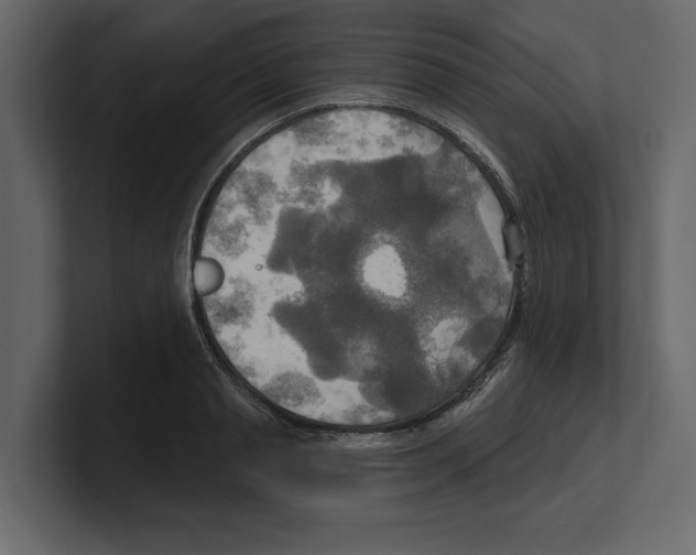 X0000100470845200807111039