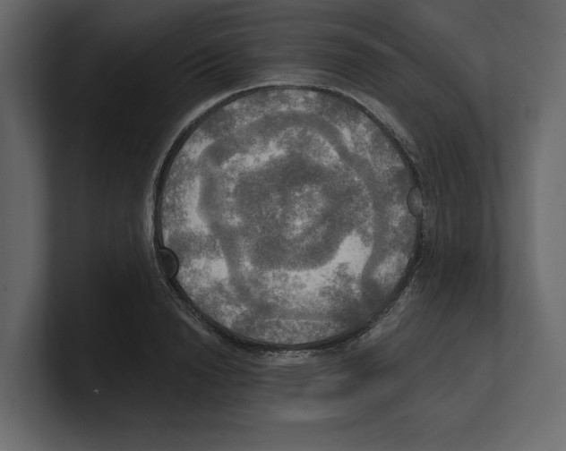 X0000100470846200807111039