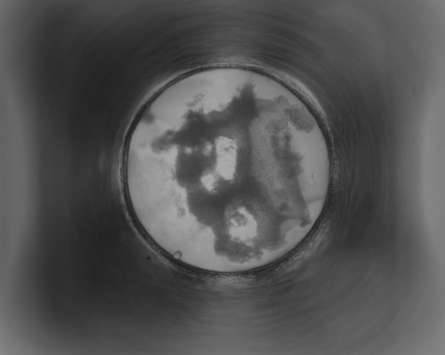 X0000100470847200807111039