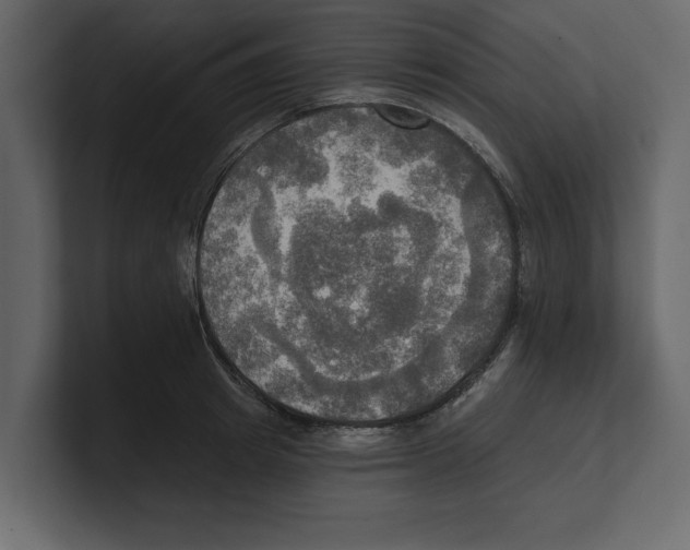 X0000100470849200807111039