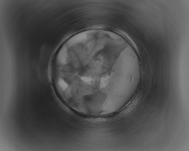 X0000100470851200807111039