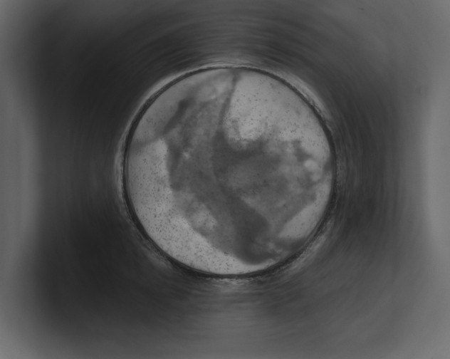 X0000100470854200807111039