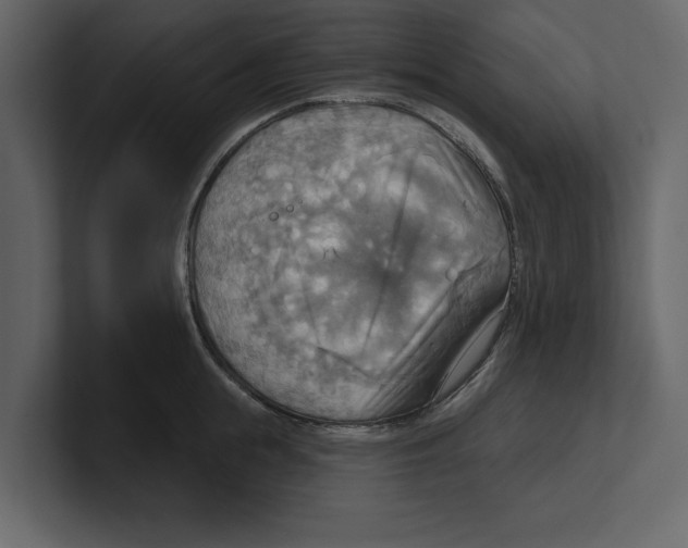 X0000100470855200807111039