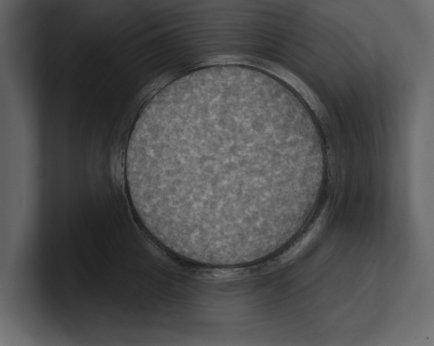 X0000100470857200807111039