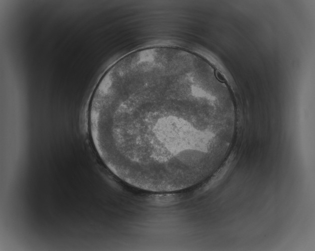 X0000100470858200807111039