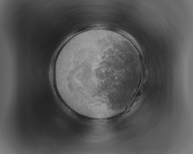 X0000100470859200807111039