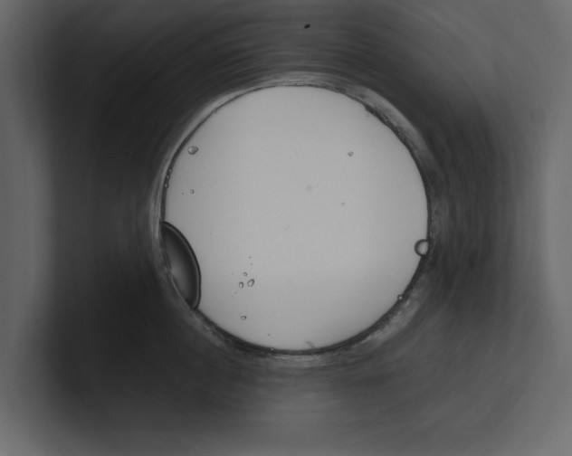 X0000100470860200807111039