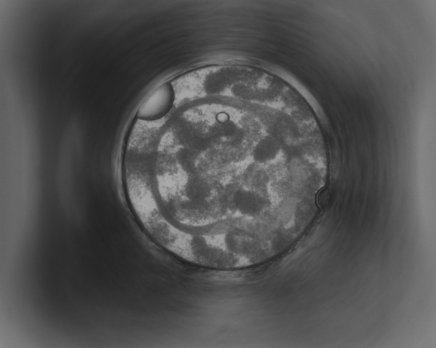 X0000100470861200807111039