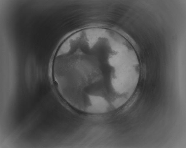 X0000100470862200807111039