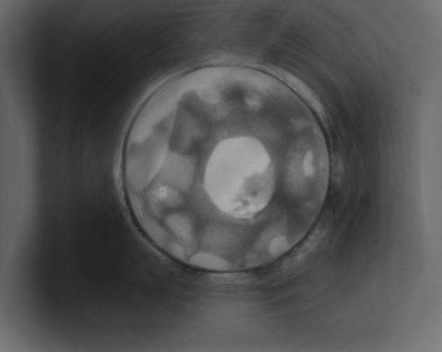 X0000100470863200807111039