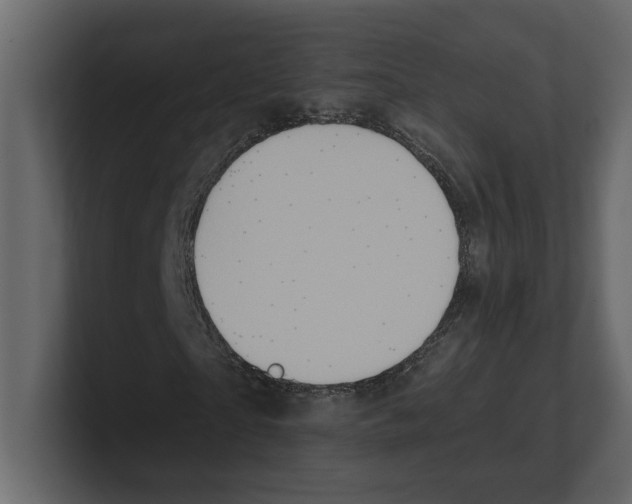 X0000100470865200807111039