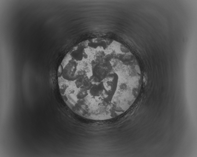 X0000100470867200807111039