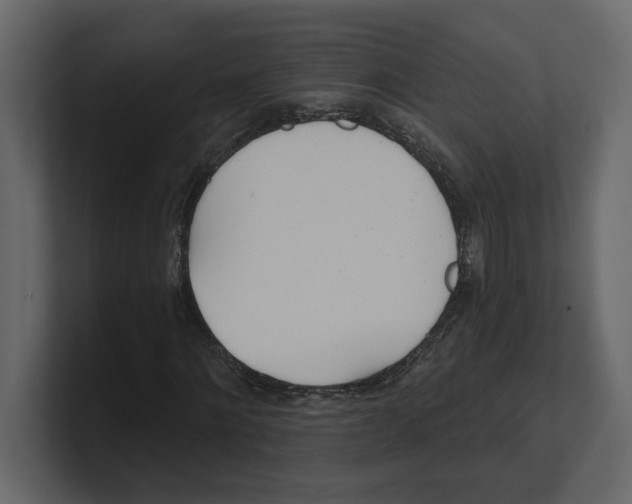 X0000100470868200807111039