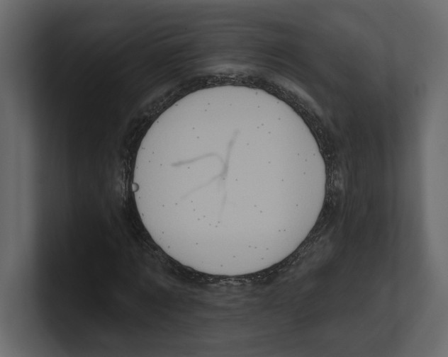 X0000100470869200807111039