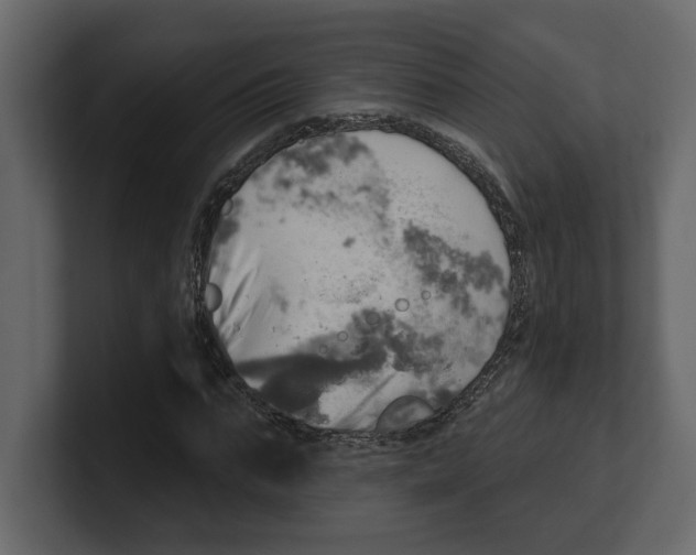 X0000100470871200807111039