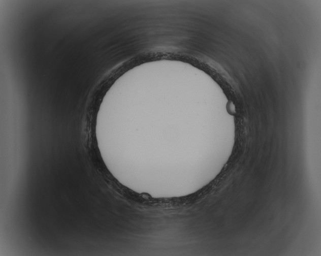 X0000100470872200807111039