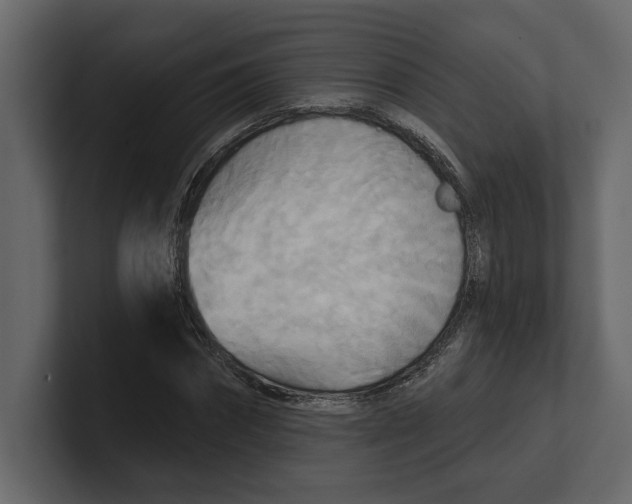 X0000100470874200807111039